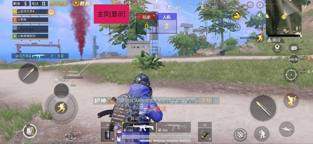 和平精英【EAD内部】辅助